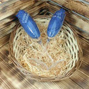 Geschenkset Gläser